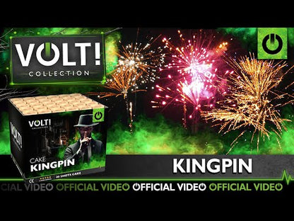 Lesli VOLT Kingpin Batterie 25mm