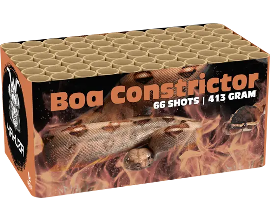 Boa Constrictor Batterie Feuerwerk